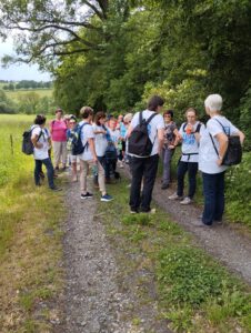 Wanderung Bewegung gegen Krebs